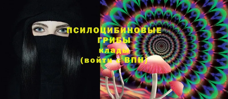 OMG рабочий сайт  shop формула  Галлюциногенные грибы MAGIC MUSHROOMS  Навашино 